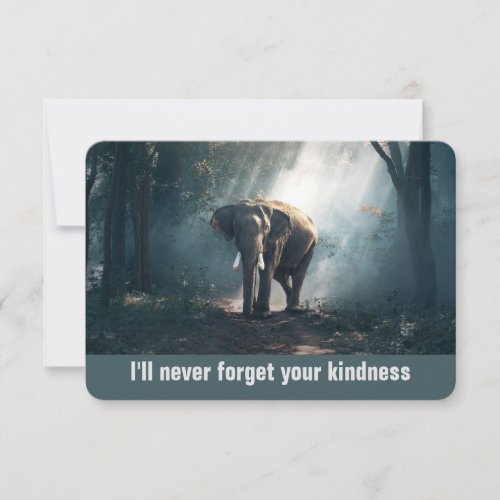 Ill Never Forget Your Kindness Elephant Thank You