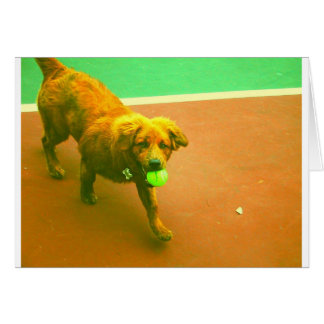 "I'll play you anytime!"