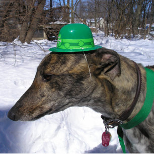 "I'll Race You!" Card