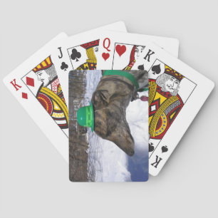 I'll Race You!" Poker Cards