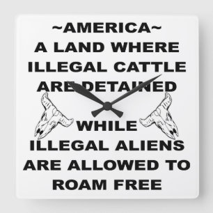 Illegal Cattle Are Detained & Illegal Aliens Roam Square Wall Clock