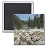 Illilouette Creek in Yosemite National Park Magnet