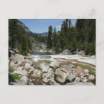 Illilouette Creek in Yosemite National Park Postcard