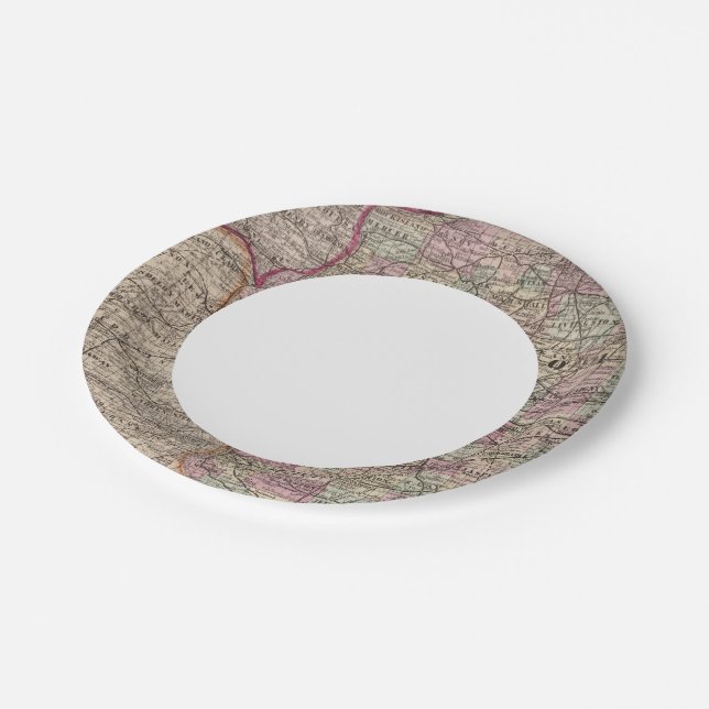Illinois 10 paper plates (Angled)