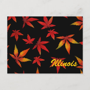 Illinois Autumn Leaves Postcard