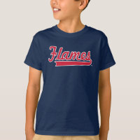 Illinois Chicago Flames Spirit Design