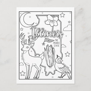 illinois color me collage postcard