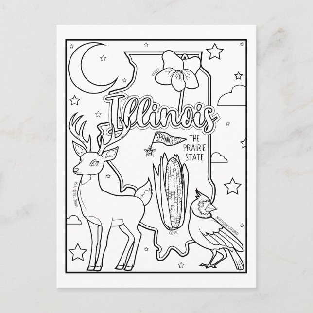 illinois color me collage postcard (Front)