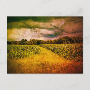 Illinois Country Landscape Photo Postcard