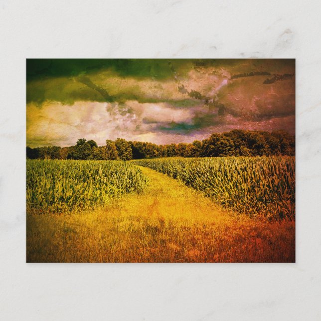 Illinois Country Landscape Photo Postcard (Front)