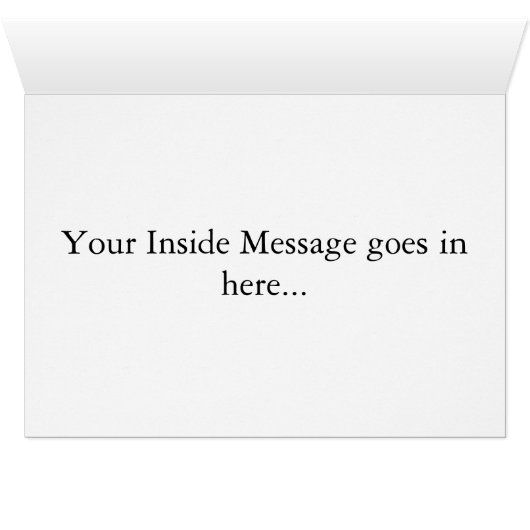 Illinois Flag (Inside Horizontal (Bottom))