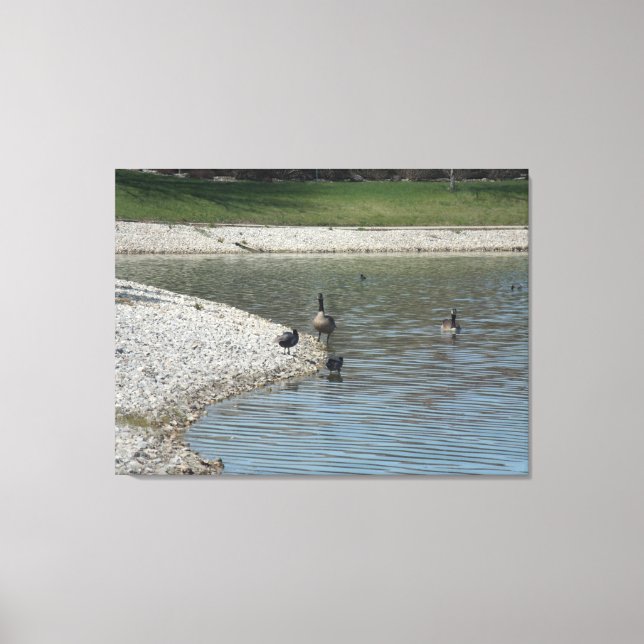 Illinois living canvas print (Front)