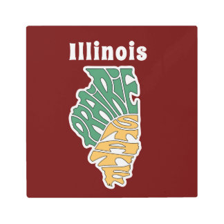 Illinois Nickname Metal Wall Art