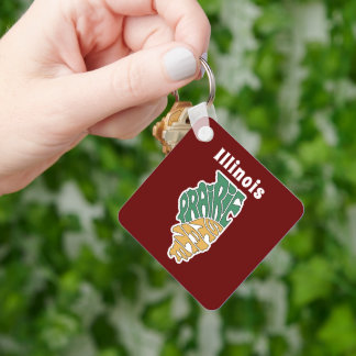 Illinois Nickname Word Art  Keychain