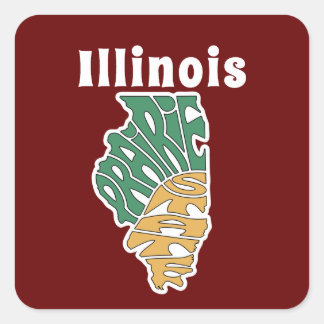 Illinois Nickname Word Art Square Sticker