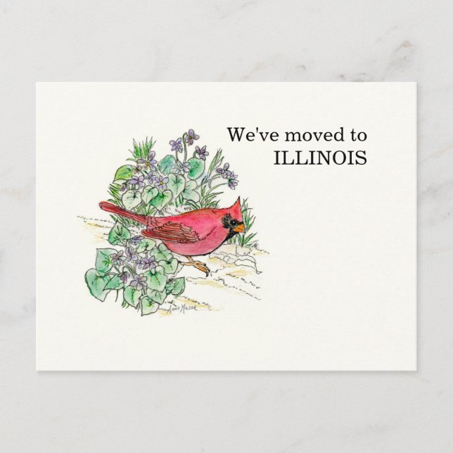 Illinois Postcard (Front)
