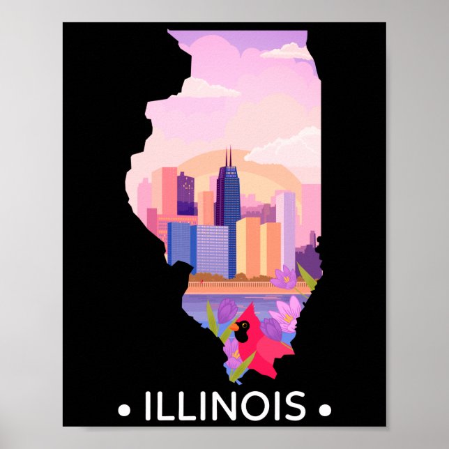 Illinois Poster (Front)