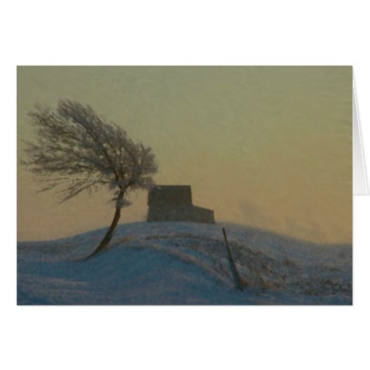 Illinois Snow Storm Cards (Front Horizontal)