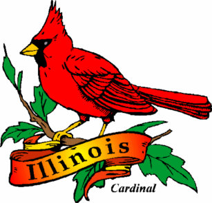 state bird of illinois gifts on zazzle