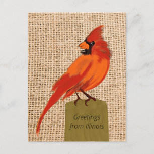Illinois State Bird Postcard