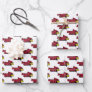 Illinois State | Redbirds Wrapping Paper Sheets