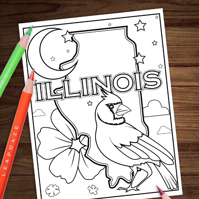 illinois state shape bird flower coloring page (Creator Uploaded)