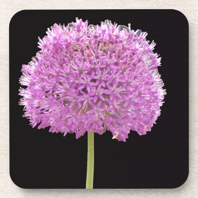 Illium Summer Spring Flower -Irish Design Beverage Coaster (Front)