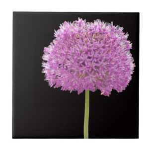 Illium Summer Spring Flower -Irish Design Ceramic Tile