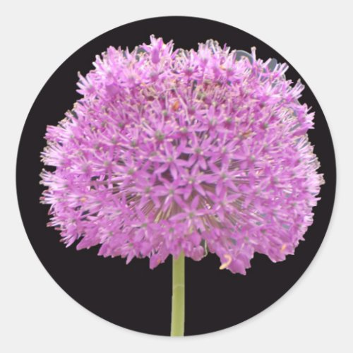 Illium Summer Spring Flower _Irish Design Classic Round Sticker