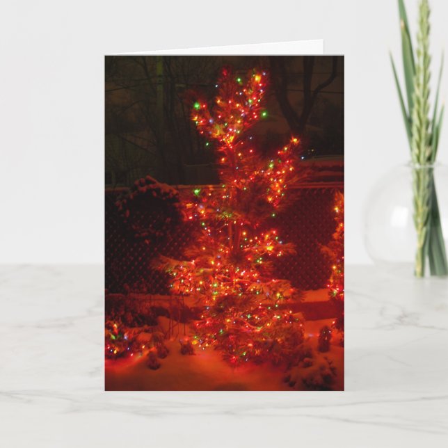 Illuminate the Night Holiday Card (Front)