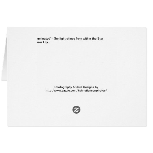 Illuminated (Back Horizontal)