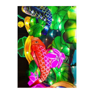 Illuminated Koi Acrylic Print