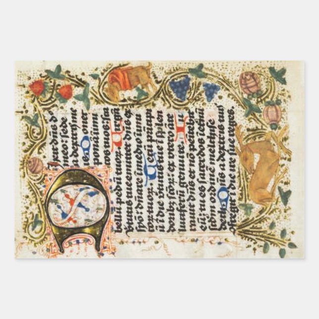 Illuminated Manuscript Wrapping Paper (Front)