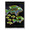 Illuminated Reflection : Fish in Flood Light