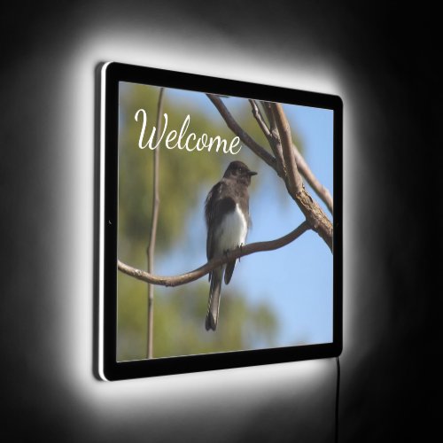 Illuminated Sign _ Flycatcher Welcome