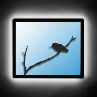 Illuminated Sign - Hummingbird Silhouette