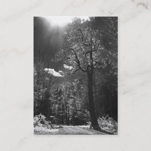 Customizable Illuminated Tree ATC Business Card Template