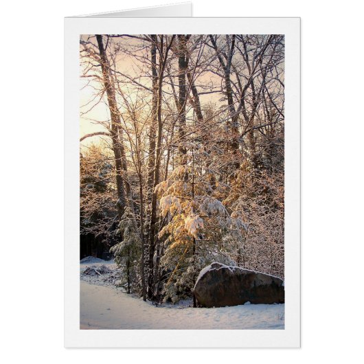 Illuminated Winter Cards (Front)