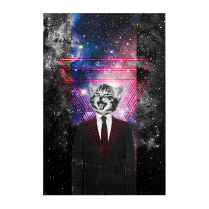 Illuminati cat acrylic wall art