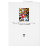 Illuminating Ornaments Cards (Back)