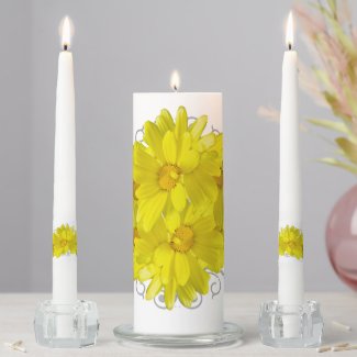 Illuminating Yellow Daisy Flowers