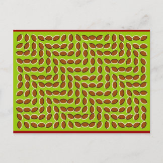 illusion-5 postcard