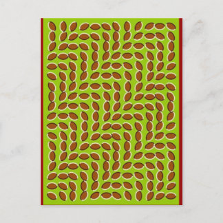 illusion-5 postcard