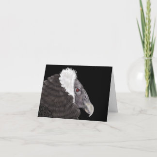 Illustrated Andean Condor Thank You Card