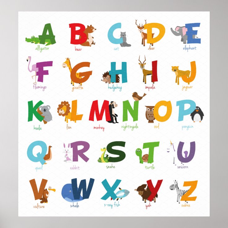 Illustrated Animal Alphabet Poster | Zazzle