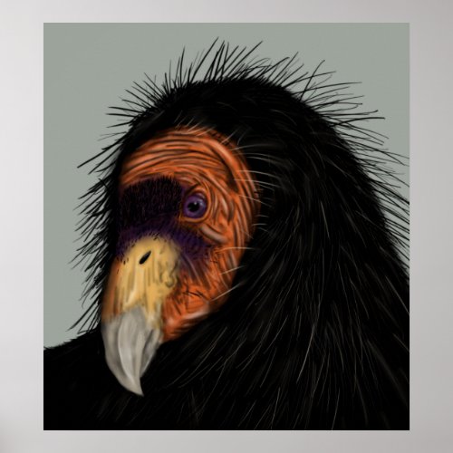 Illustrated California Condor Poster