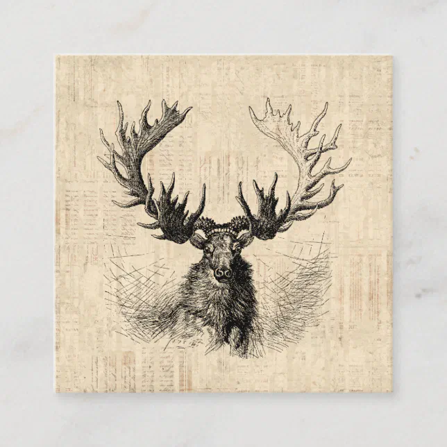 Illustrated Deer with Antlers Enclosure Card | Zazzle