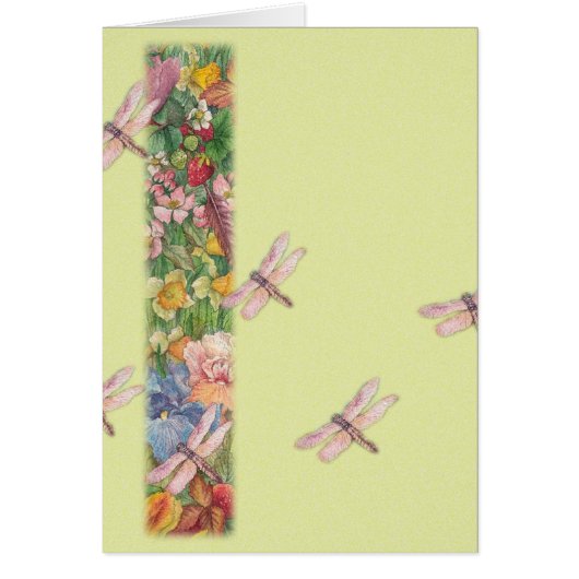illustrated dragonflies in garden cards (Front)