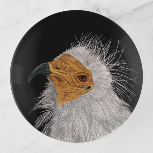 Illustrated Egyptian Vulture Throw Pillow Trinket Tray