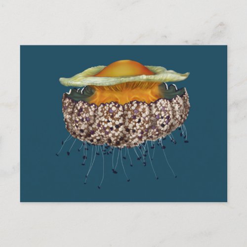 Illustrated Fried Egg Jellyfish Postcard